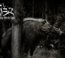 Sever – At Midnight, By Torch Light (Boarish Symphonic Black Metal)