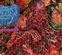 Dripping Decay – Festering Grotesqueries (Truly Dripping Old School Death Metal)